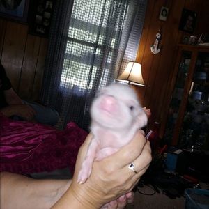 Meet your Posher, Rhonda